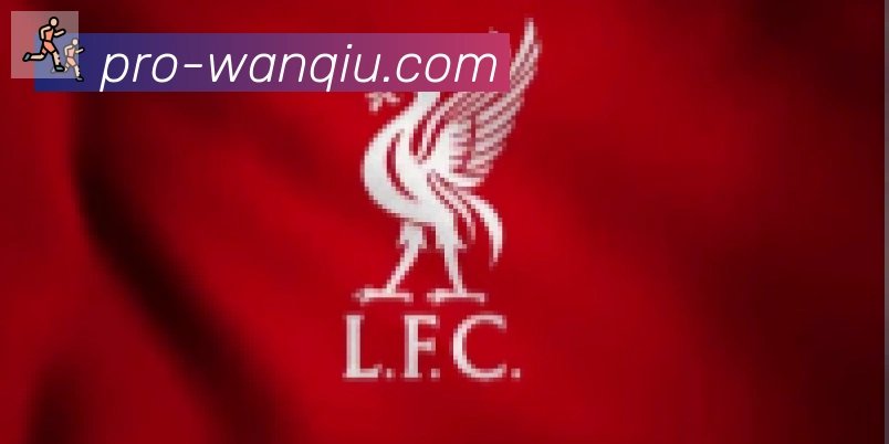 玩球直播合作伙伴